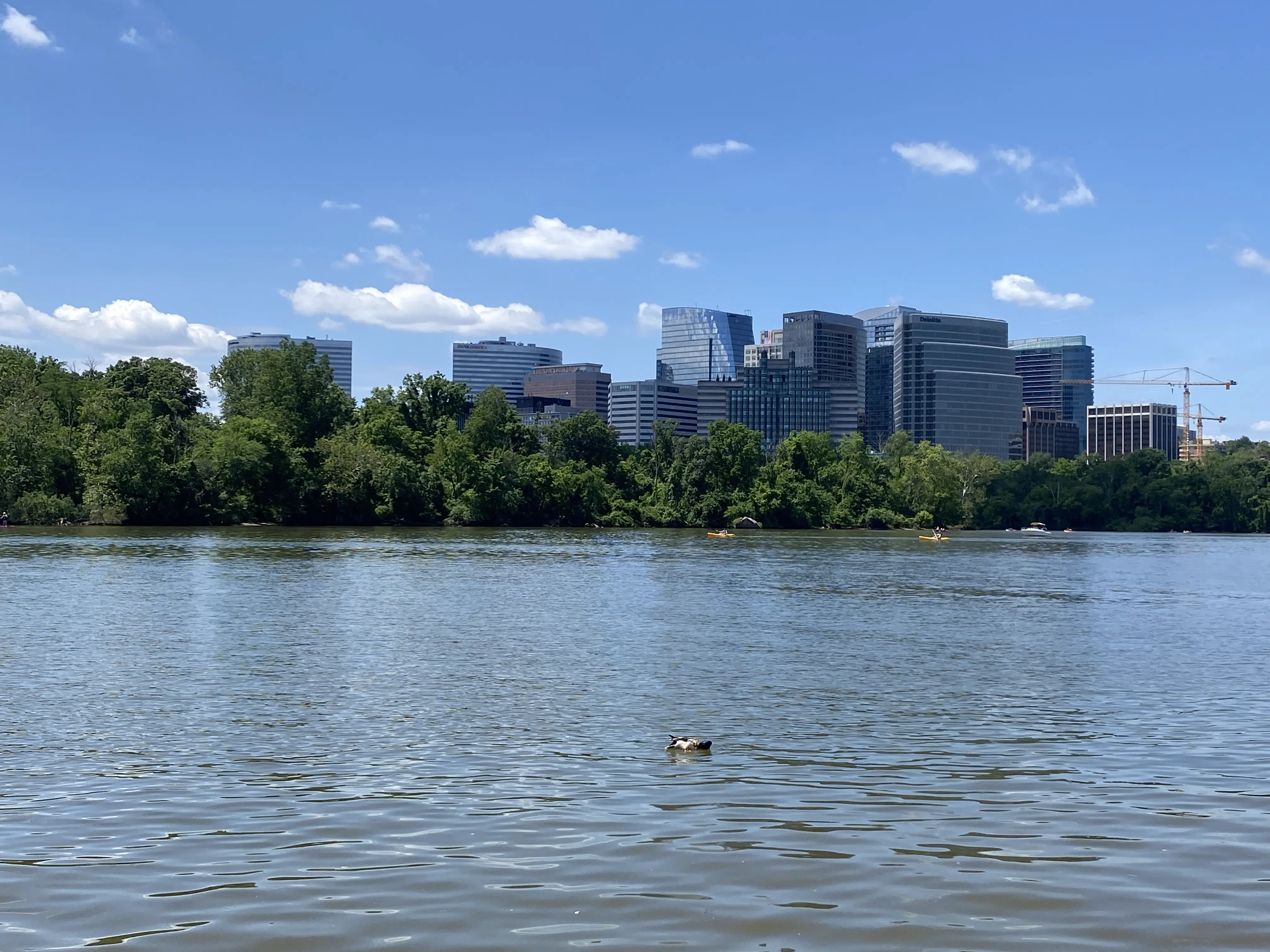 image is not available